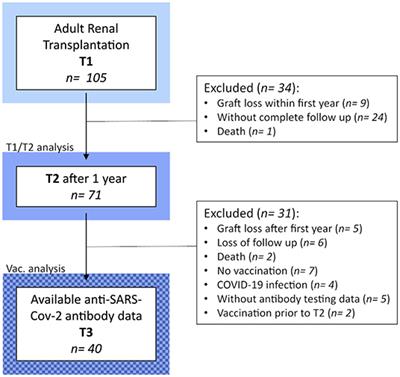 B Cell Composition Is Altered After Kidney Transplantation and Transitional B Cells Correlate With SARS-CoV-2 Vaccination Response